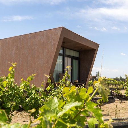 Andeluna Winery Lodge Tupungato Eksteriør billede