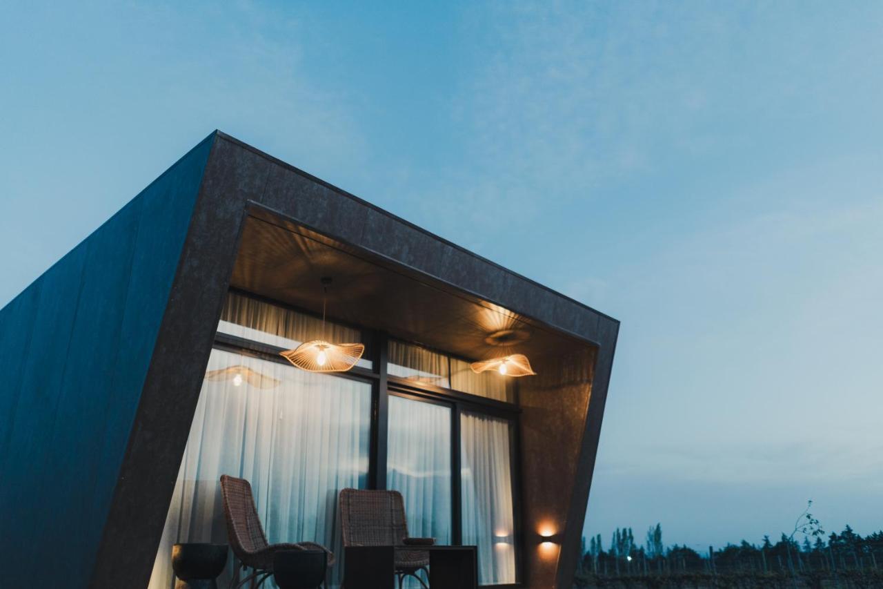 Andeluna Winery Lodge Tupungato Eksteriør billede
