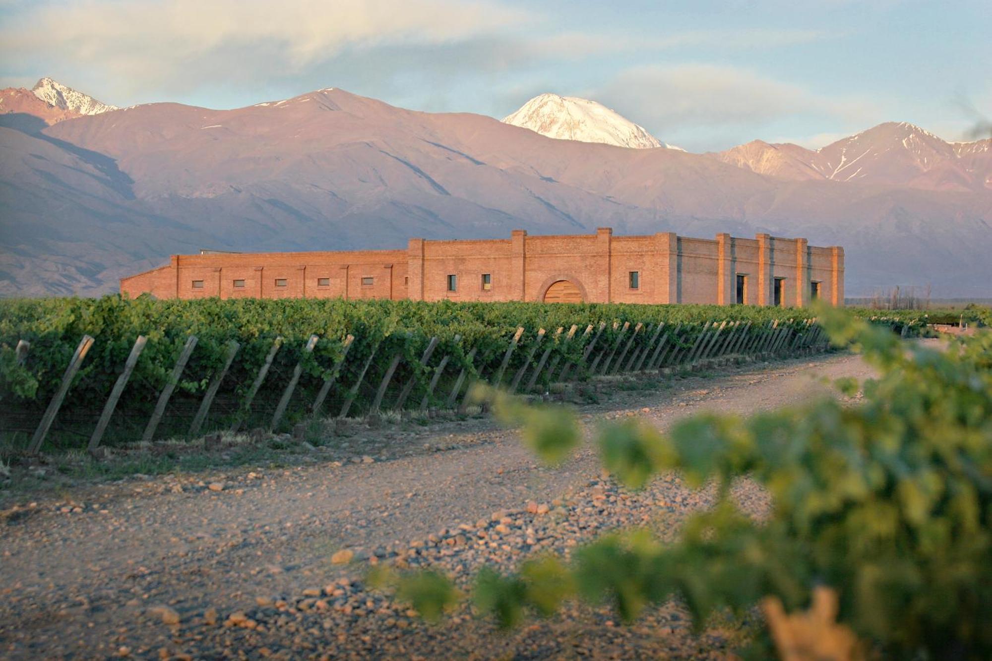 Andeluna Winery Lodge Tupungato Eksteriør billede