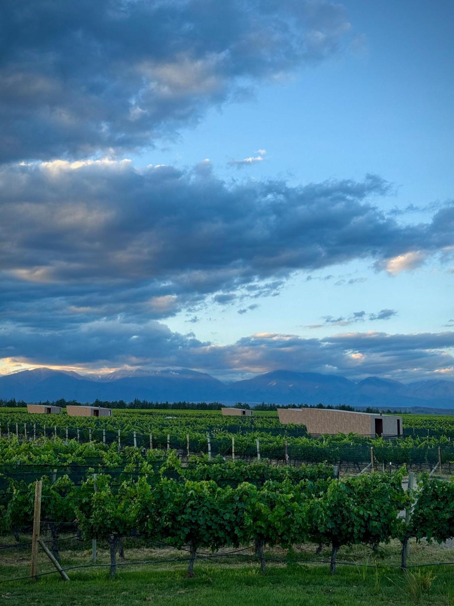 Andeluna Winery Lodge Tupungato Eksteriør billede